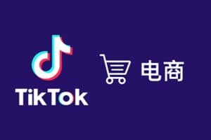TikTok全套电商实战课:ADS投流+达人带货+GMV MAX增长打法